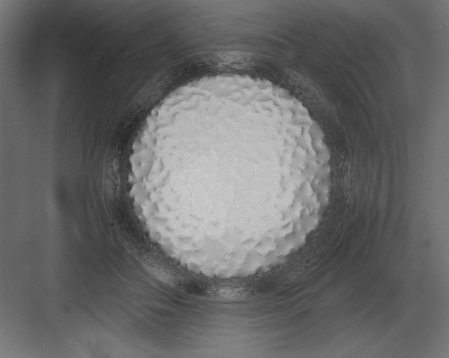 X0000082140506200702092129