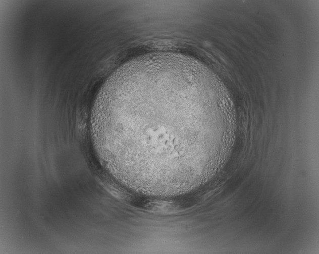 X0000082140507200702092129