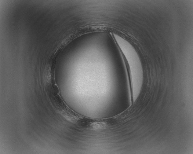 X0000082140508200702092129