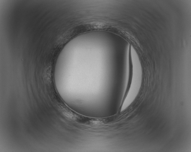 X0000082140509200702092129