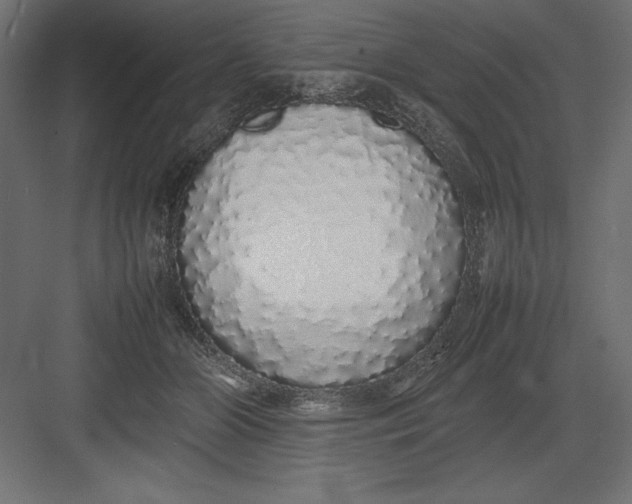 X0000082140510200702092129