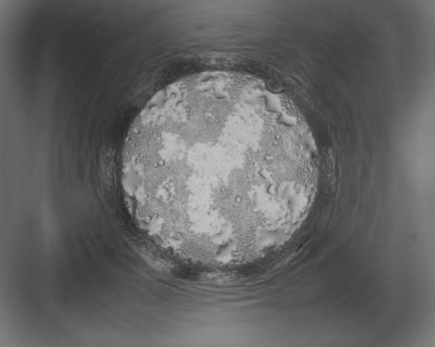 X0000082140511200702092129