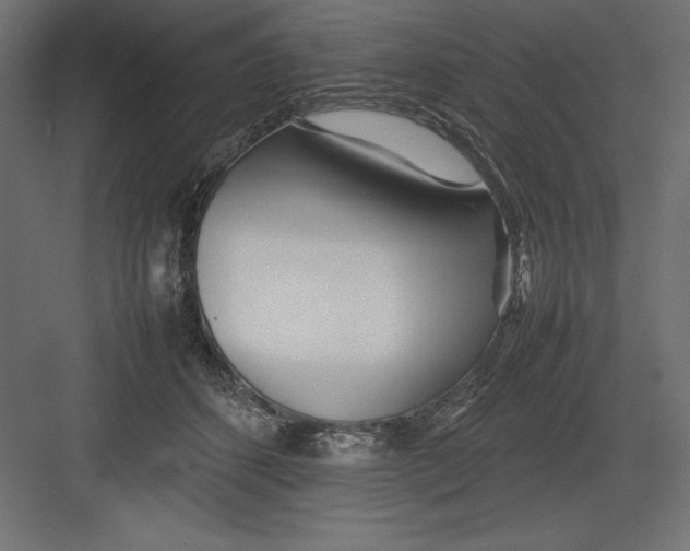 X0000082140512200702092129