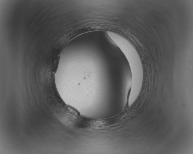 X0000082140513200702092129