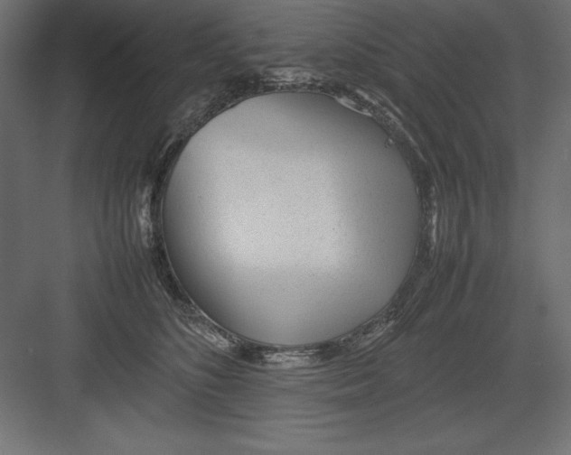 X0000082140516200702092128