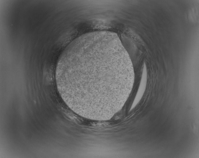 X0000082140517200702092128