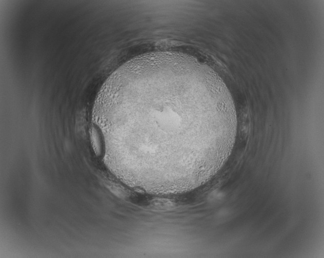 X0000082140519200702092128