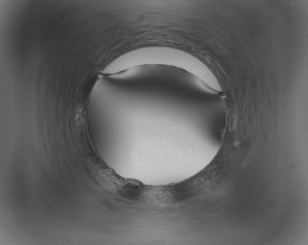 X0000082140521200702092128