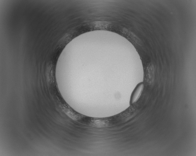 X0000082140522200702092128