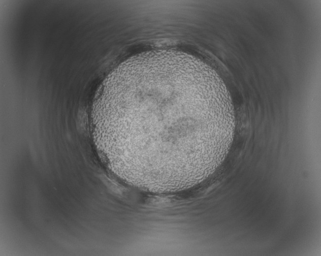 X0000082140523200702092128