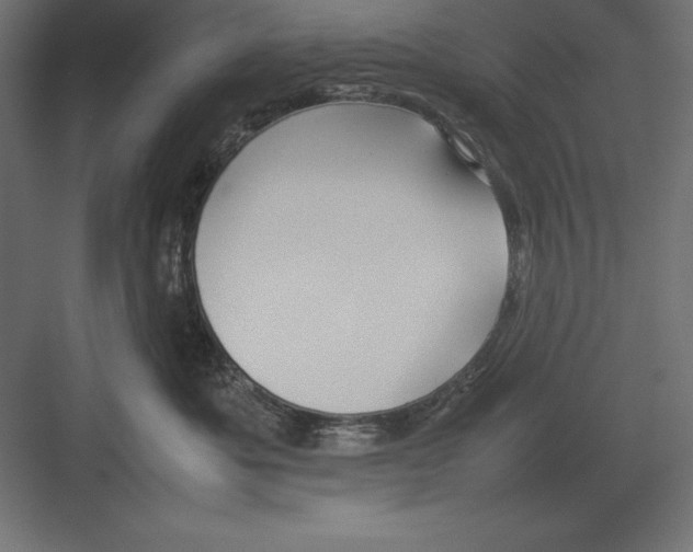 X0000082140525200702092128