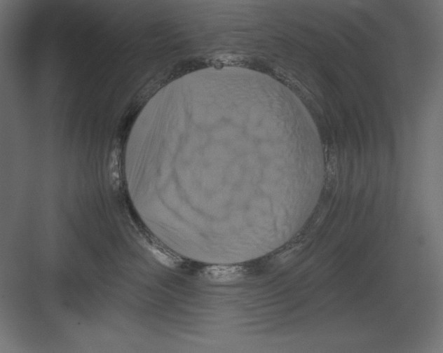 X0000082140526200702092128