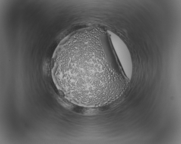 X0000082140527200702092128