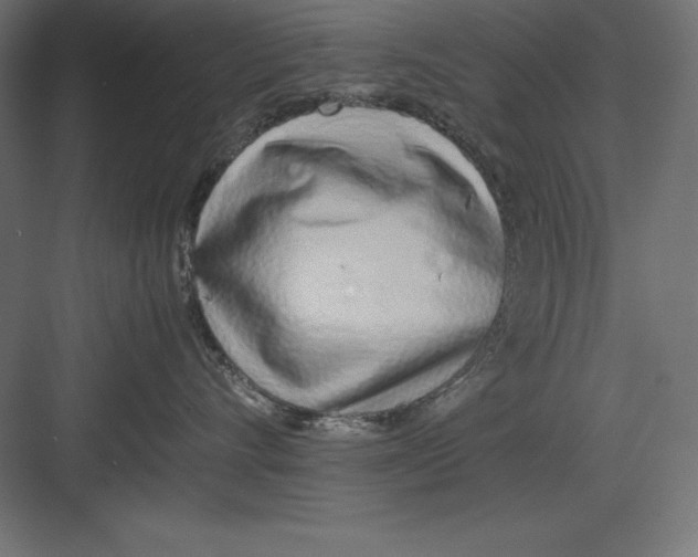 X0000082140528200702092128