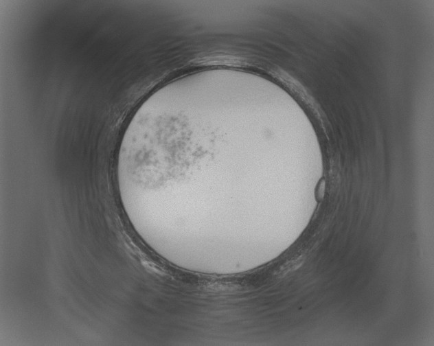 X0000082140529200702092127