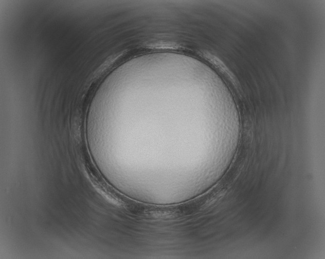 X0000082140533200702092128