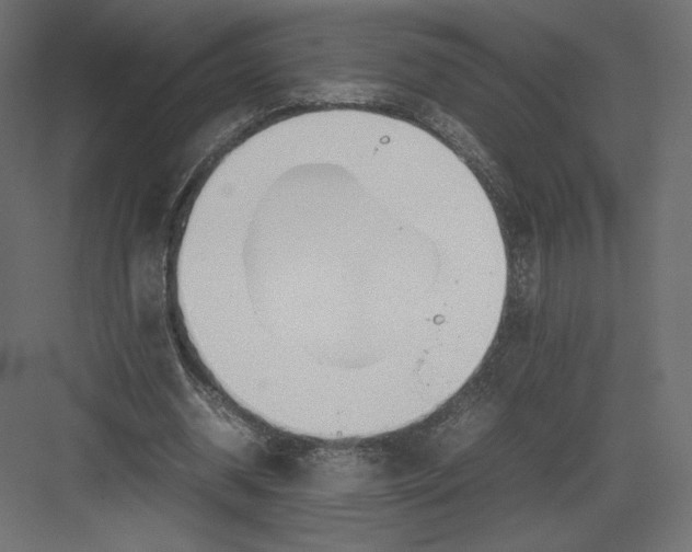 X0000082140534200702092128