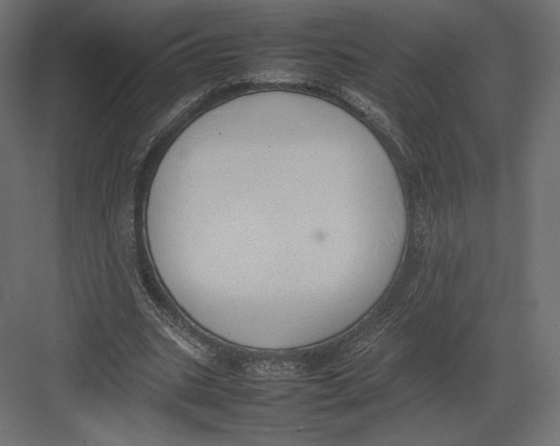 X0000082140535200702092128