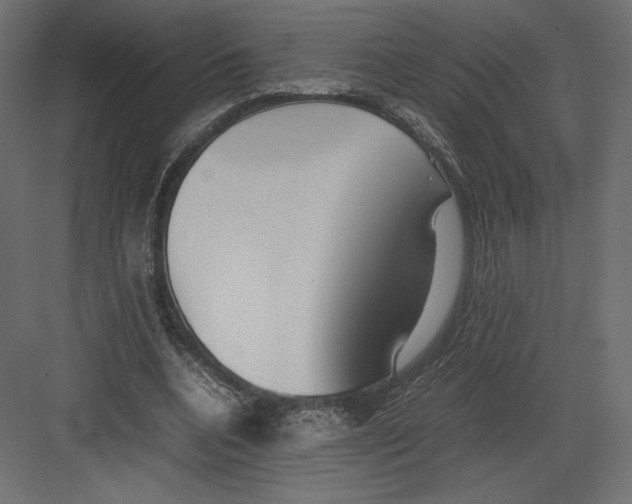 X0000082140536200702092128