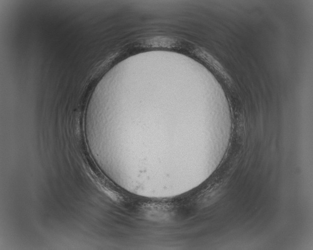 X0000082140537200702092128