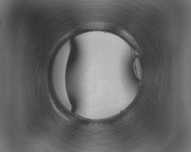 X0000082140538200702092128