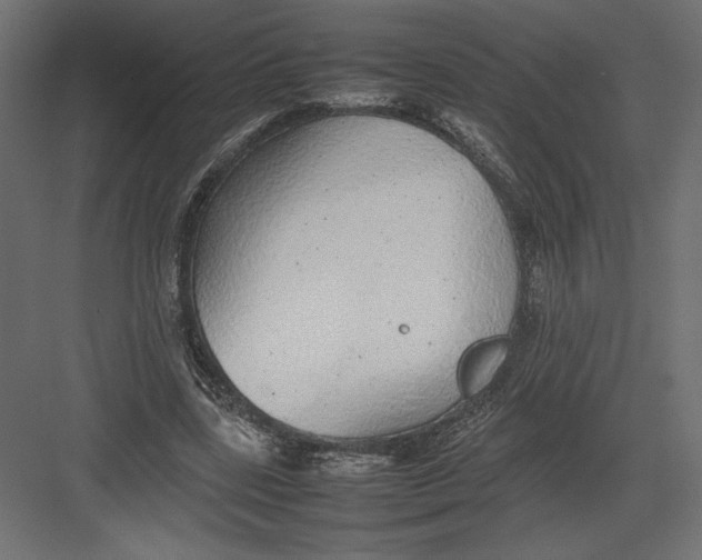 X0000082140539200702092128