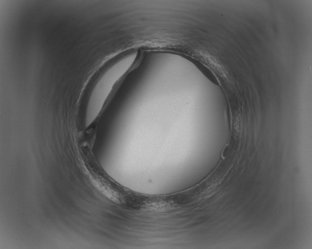 X0000082140540200702092128