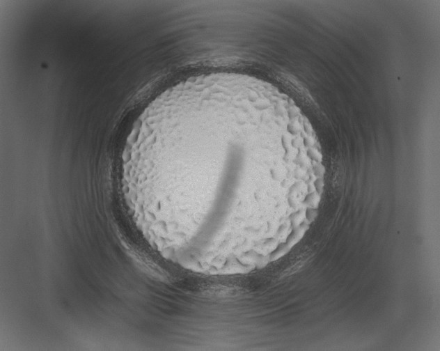 X0000082140542200702092128