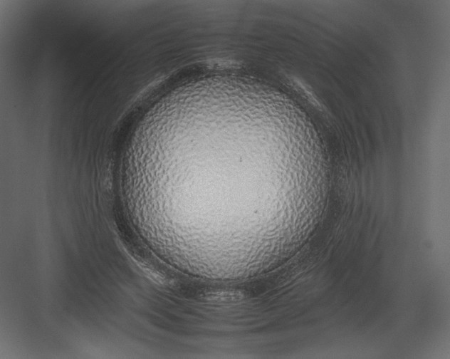 X0000082140543200702092128