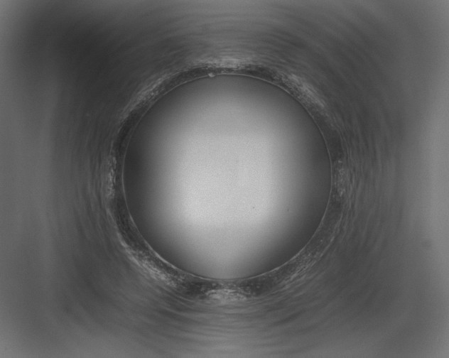 X0000082140544200702092128