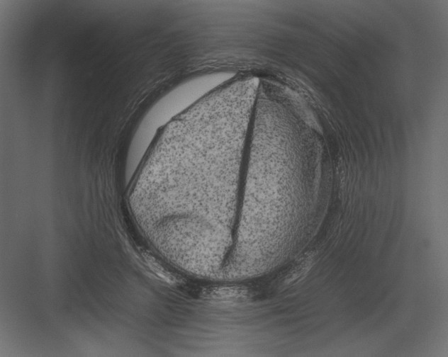 X0000082140546200702092128