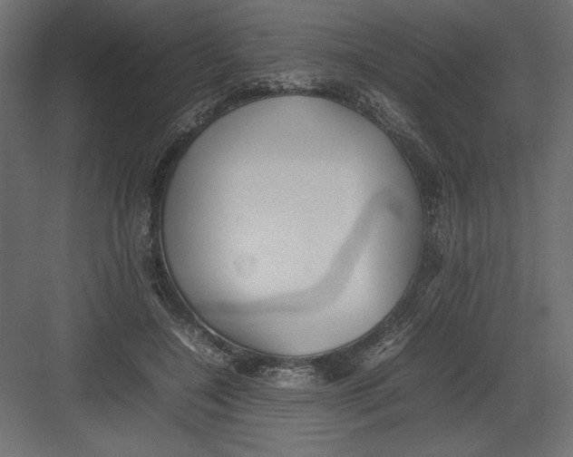 X0000082140548200702092128