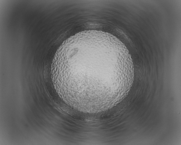 X0000082140549200702092128