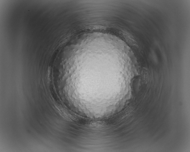 X0000082140550200702092128