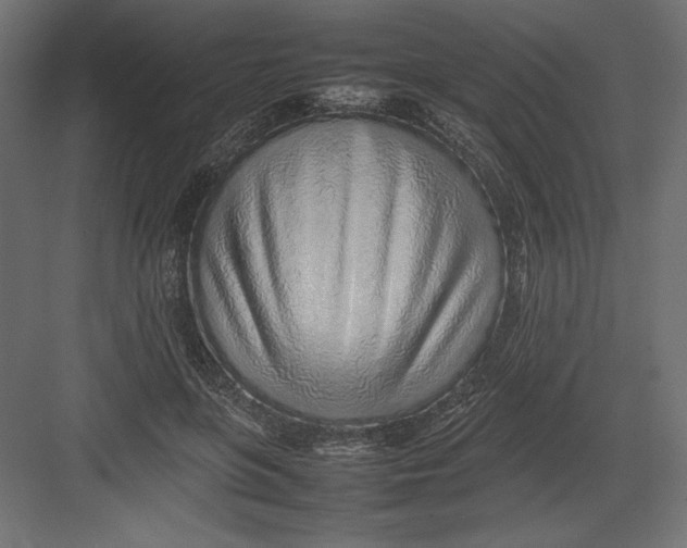 X0000082140551200702092128