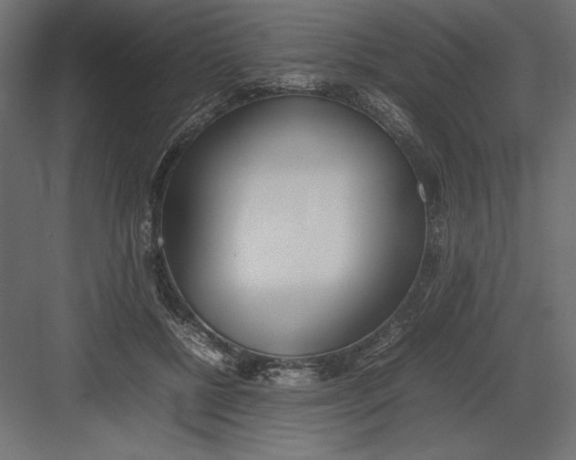 X0000082140552200702092128