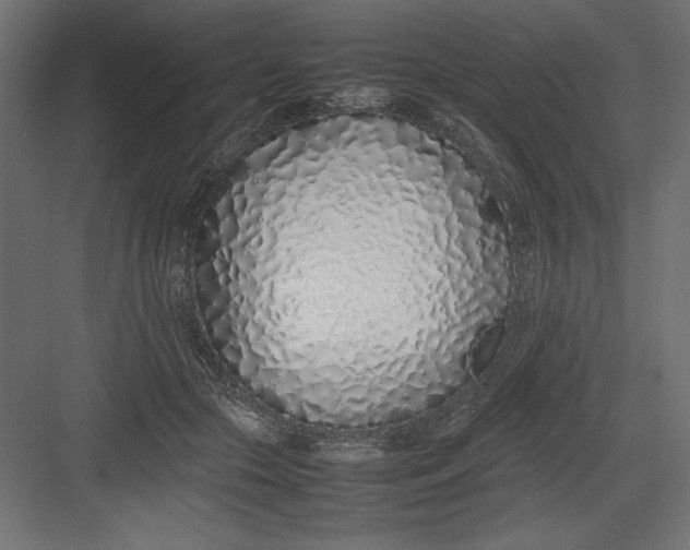 X0000082140553200702092128