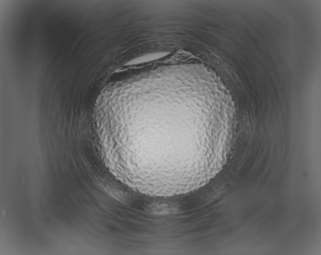 X0000082140557200702092128