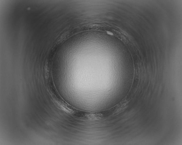 X0000082140558200702092128