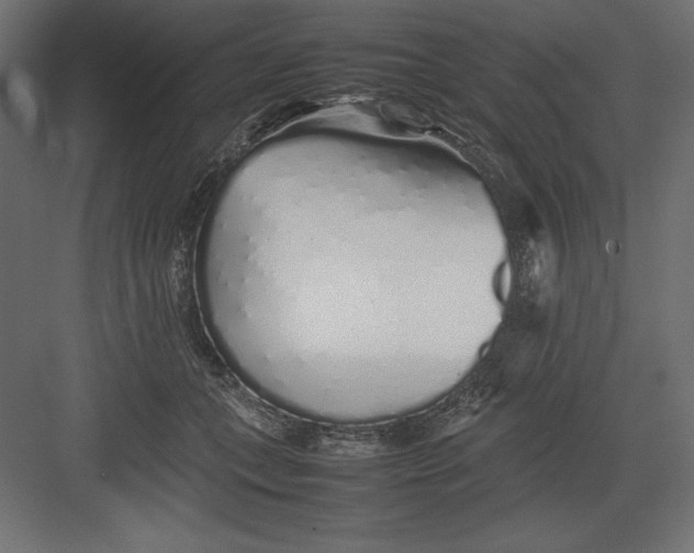 X0000082140559200702092128