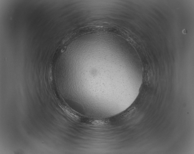 X0000082140562200702092128