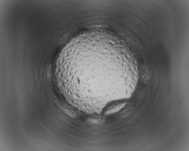 X0000082140563200702092128