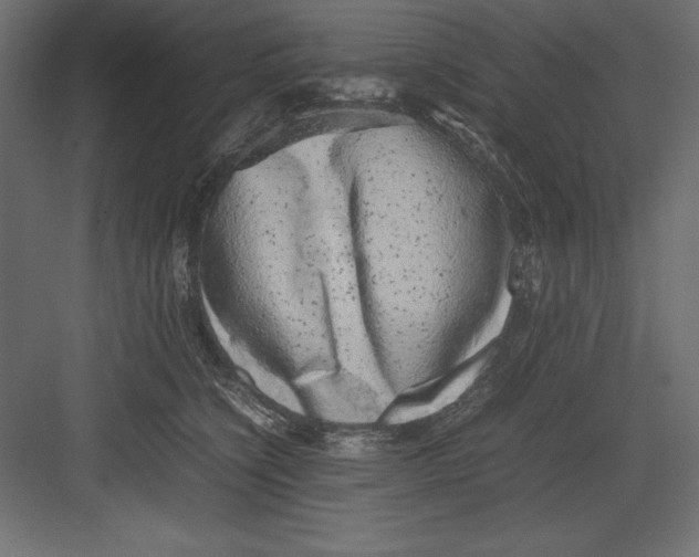 X0000082140564200702092128