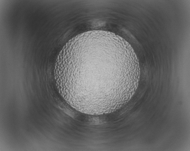 X0000082140565200702092128