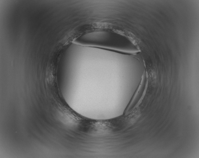 X0000082140566200702092128