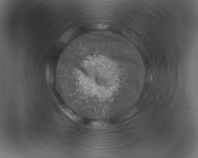 X0000082140568200702092128