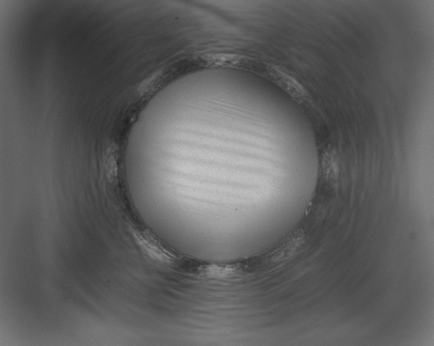 X0000082140570200702092128