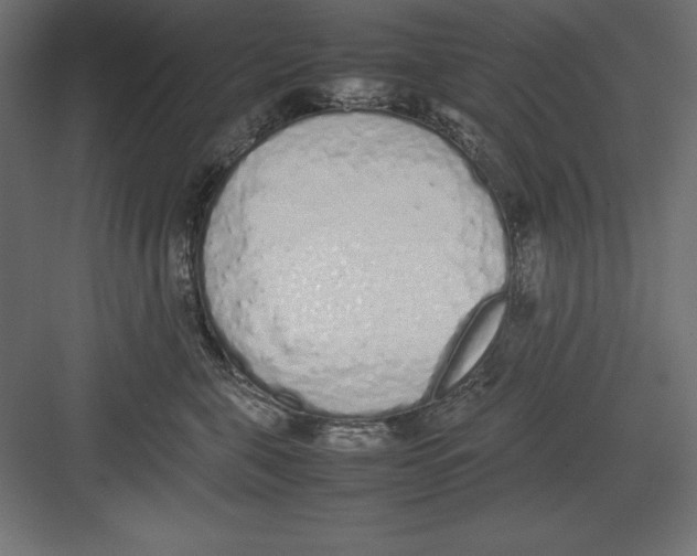 X0000082140571200702092128