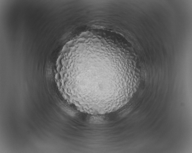 X0000082140573200702092128