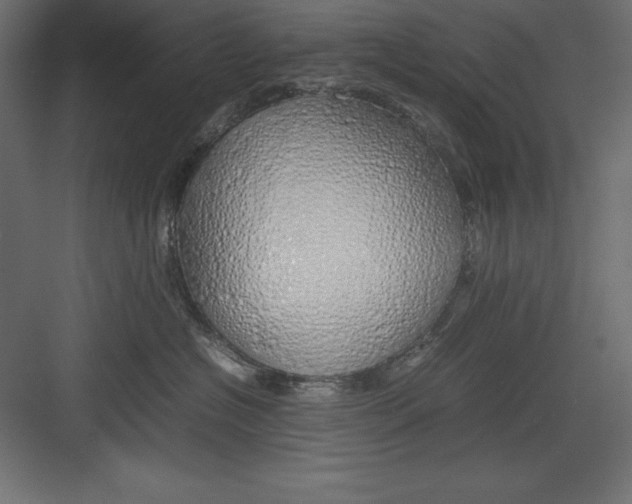 X0000082140574200702092128